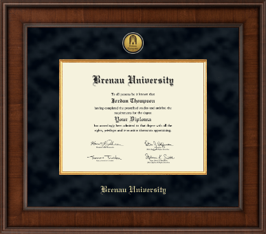 Brenau University diploma frame - Presidential Gold Engraved Diploma Frame in Madison
