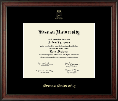 Brenau University diploma frame - Gold Embossed Diploma Frame in Studio