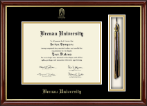 Brenau University diploma frame - Tassel Edition Diploma Frame in Southport Gold