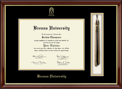 Brenau University diploma frame - Tassel & Cord Diploma Frame in Southport Gold