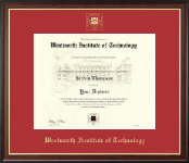 Wentworth Institute of Technology Gold Embossed Diploma Frame in Studio Gold