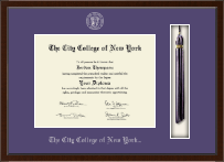 The City College of New York diploma frame - Tassel Edition Diploma Frame in Delta