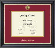 Molloy College diploma frame - Gold Engraved Medallion Diploma Frame in Noir