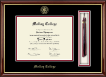 Molloy College diploma frame - Tassel & Cord Diploma Frame in Southport Gold