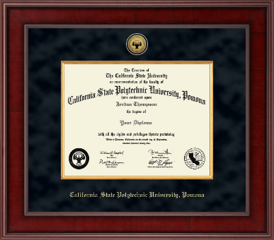 California State Polytechnic University, Pomona diploma frame - Presidential Gold Engraved Diploma Frame in Jefferson
