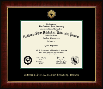 California State Polytechnic University, Pomona diploma frame - Gold Engraved Medallion Diploma Frame in Murano