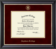 Aquinas College in Michigan Gold Embossed Diploma Frame in Noir