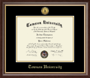 Towson University Gold Engraved Medallion Diploma Frame in Hampshire