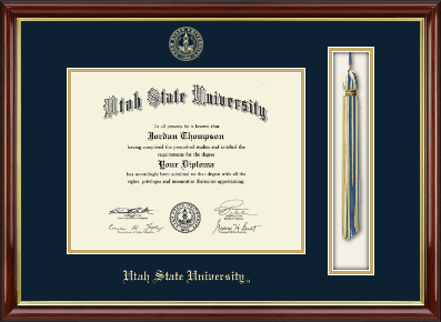 Utah State University diploma frame - Tassel & Cord Diploma Frame in Southport Gold