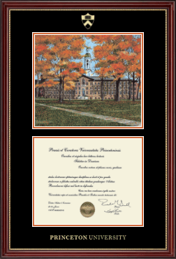 Princeton University diploma frame - Campus Scene Diploma Frame in Kensington Gold