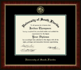 Master's/PhD Gold Embossed Diploma Frame