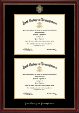 York College of Pennsylvania diploma frame - Masterpiece Medallion Double Diploma Frame in Kensington Gold