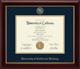 Masterpiece Medallion Diploma Frame