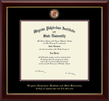 Virginia Tech diploma frame - Masterpiece Medallion Diploma Frame in Gallery