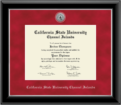 California State University Channel Islands diploma frame - Silver Engraved Medallion Diploma Frame in Onyx Silver
