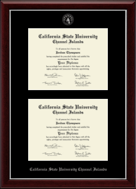 California State University Channel Islands diploma frame - Double Diploma Frame in Gallery Silver