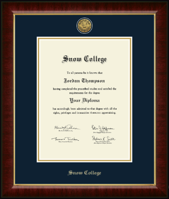 Snow College diploma frame - Gold Engraved Medallion Diploma Frame in Murano