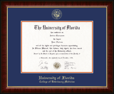 University of Florida diploma frame - Gold Embossed Diploma Frame in Murano