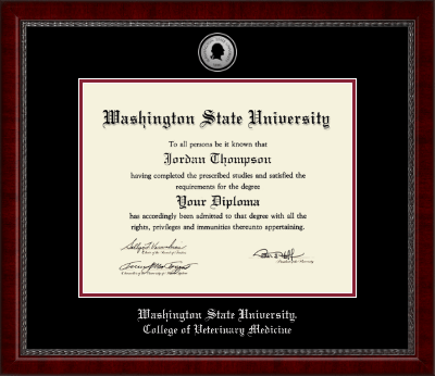 Washington State University diploma frame - Silver Engraved Medallion Diploma Frame in Sutton
