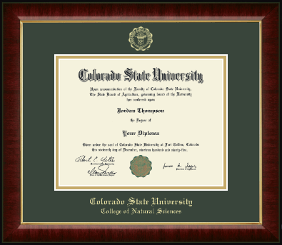 Colorado State University diploma frame - Gold Embossed Diploma Frame in Murano