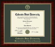 Colorado State University diploma frame - Gold Embossed Diploma Frame in Murano