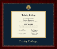 Trinity College Gold Engraved Medallion Diploma Frame in Sutton