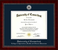 University of Connecticut diploma frame - Silver Engraved Medallion Diploma Frame in Sutton