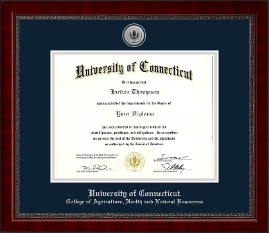 University of Connecticut diploma frame - Silver Engraved Medallion Diploma Frame in Sutton