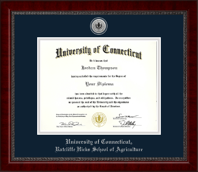 University of Connecticut diploma frame - Silver Engraved Medallion Diploma Frame in Sutton