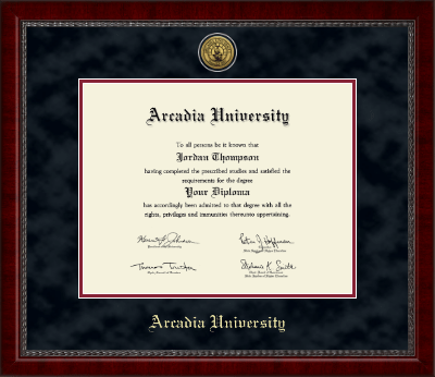 Arcadia University diploma frame - Gold Engraved Medallion Diploma Frame in Sutton