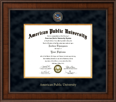 American Public University diploma frame - Presidential Masterpiece Diploma Frame in Madison