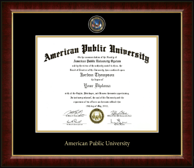American Public University diploma frame - Masterpiece Medallion Diploma Frame in Murano