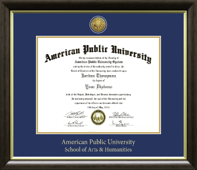 American Public University diploma frame - Gold Engraved Medallion Diploma Frame in Hampshire