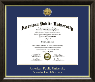 American Public University diploma frame - Gold Engraved Medallion Diploma Frame in Hampshire
