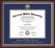 American Public University Gold Engraved Medallion Diploma Frame in Hampshire