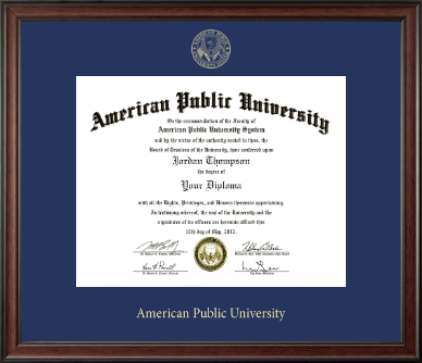 American Public University diploma frame - Gold Embossed Diploma Frame in Studio