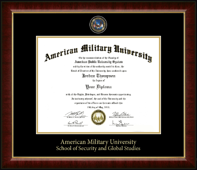 American Military University diploma frame - Masterpiece Medallion Diploma Frame in Murano