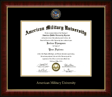 American Military University diploma frame - Masterpiece Medallion Diploma Frame in Murano