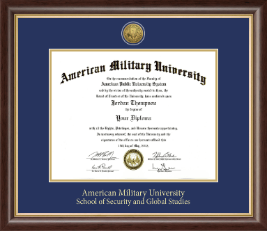 American Military University diploma frame - Gold Engraved Medallion Diploma Frame in Hampshire
