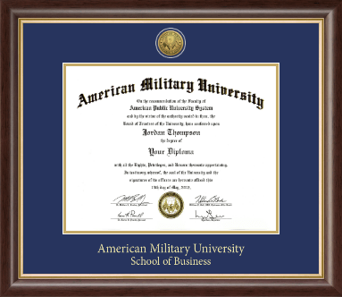 American Military University diploma frame - Gold Engraved Medallion Diploma Frame in Hampshire