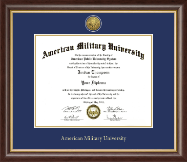 American Military University diploma frame - Gold Engraved Medallion Diploma Frame in Hampshire