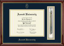 Averett University diploma frame - Tassel & Cord Diploma Frame in Southport Gold