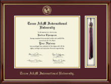 Texas A&M International University in Laredo diploma frame - Tassel & Cord Diploma Frame in Southport Gold
