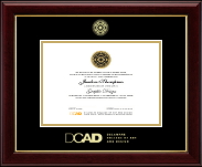 Delaware College of Art and Design Gold Embossed Diploma Frame in Gallery