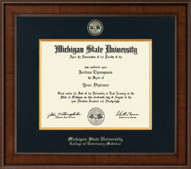 Michigan State University diploma frame - Presidential Masterpiece Diploma Frame in Madison