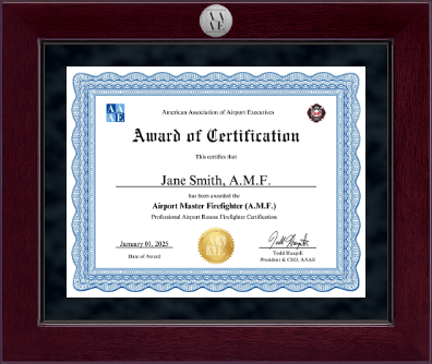 American Association of Airport Executives certificate frame - Millennium Silver Engraved Certificate Frame in Cordova