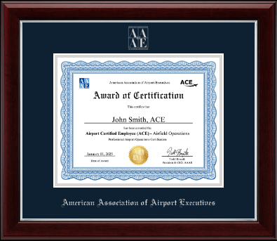 American Association of Airport Executives certificate frame - Silver Embossed Certificate Frame in Gallery Silver