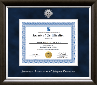 American Association of Airport Executives certificate frame - Silver Engraved Medallion Certificate Frame in Devonshire