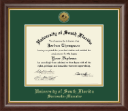 University of South Florida diploma frame - Gold Engraved Medallion Diploma Frame in Hampshire