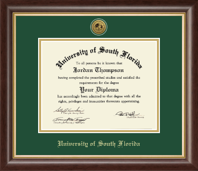 University of South Florida Health Sciences diploma frame - Gold Engraved Medallion Diploma Frame in Hampshire